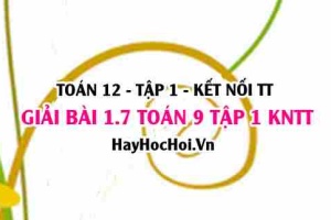 Bài 1.7 Toán 12 tập 1 SGK Kết nối tri thức